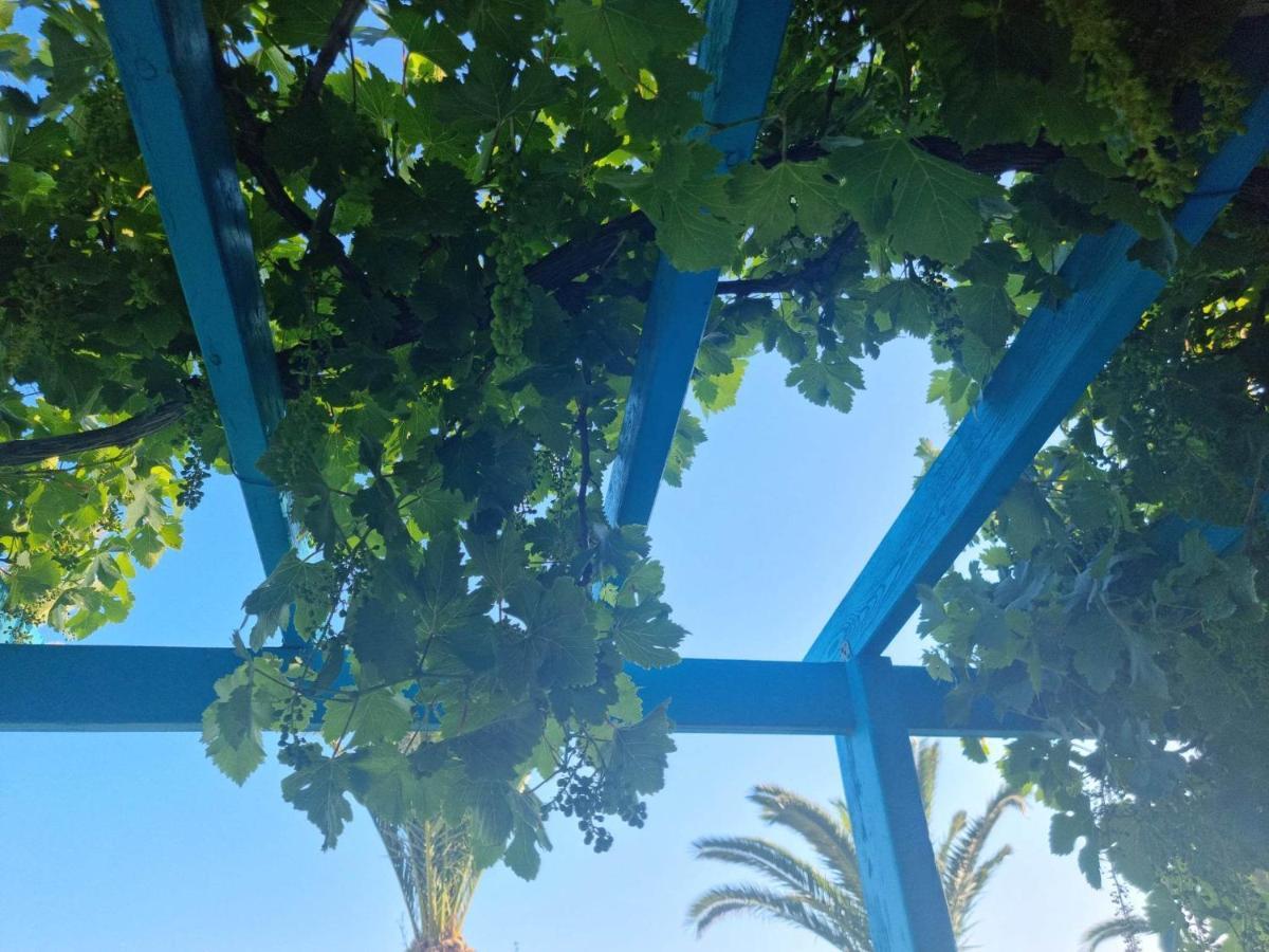 Artemis Aparthotel Makrýgialos Екстериор снимка